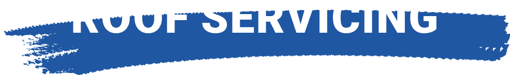 Roof Servicing Roof Servicing